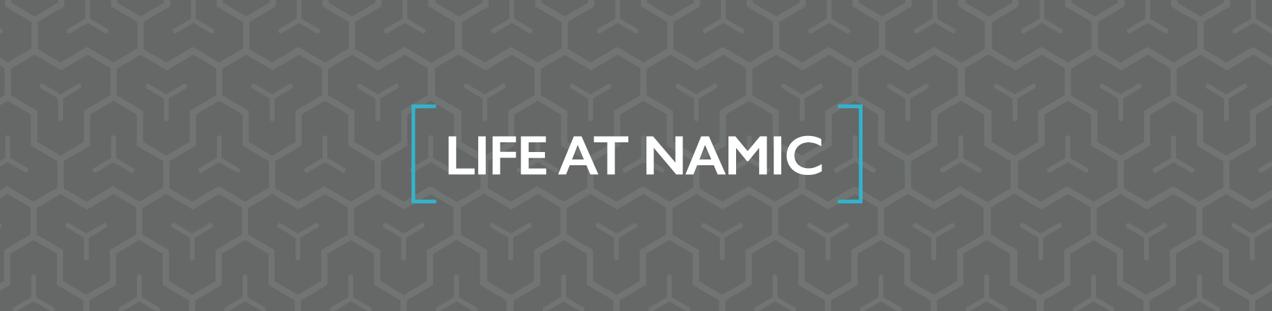 NAMIC Life