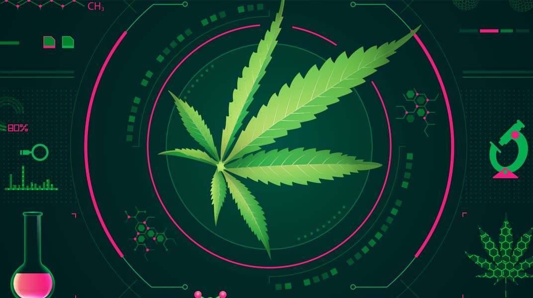 Cannabis Conundrum