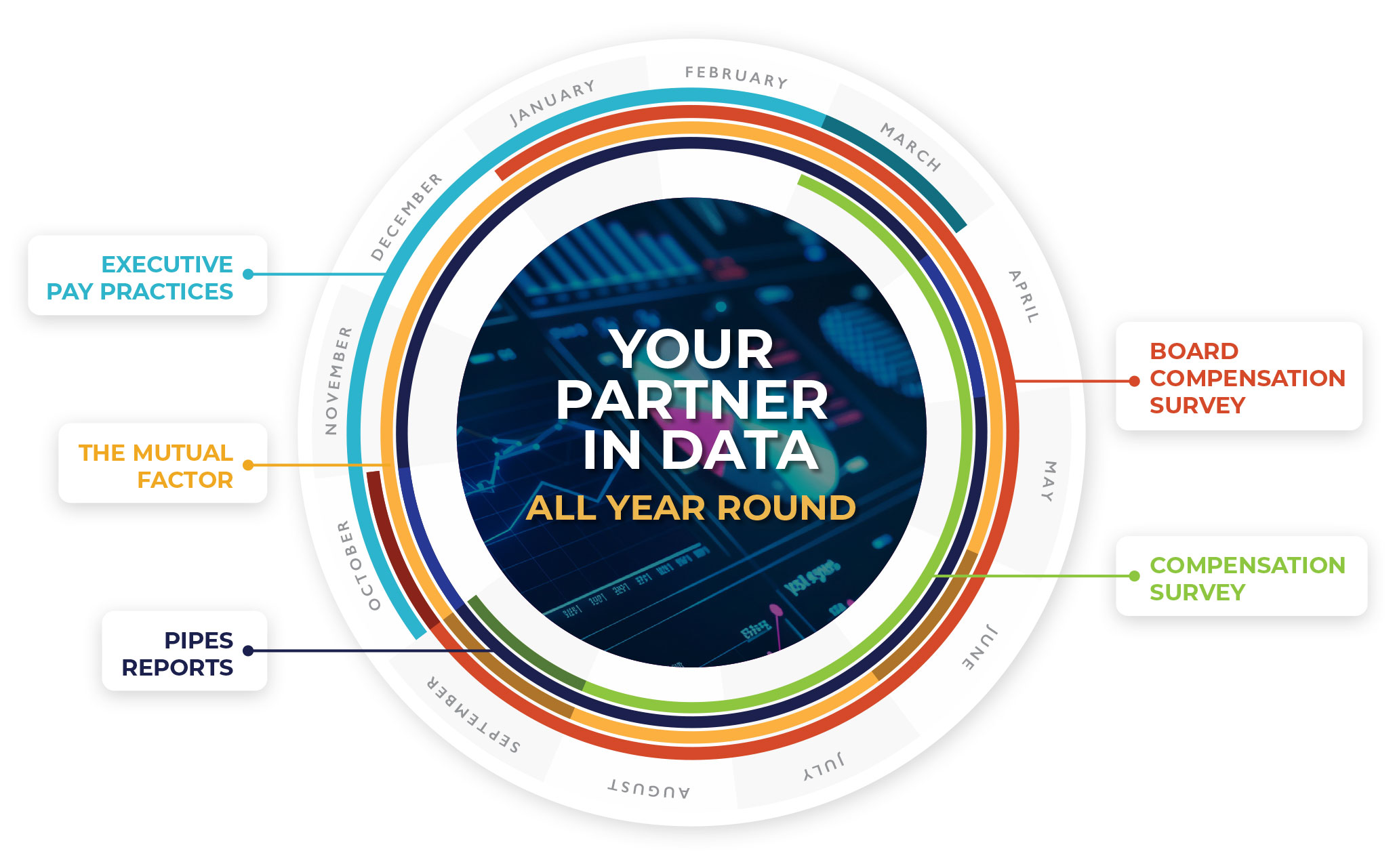 SiteHeader_Benchmarking Your Partner in Data | All Year Round